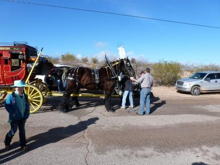 February 2013 Wickenburg Gold Rush Days Parade Photos