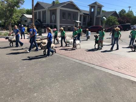 July 2019 Prescott parade photos